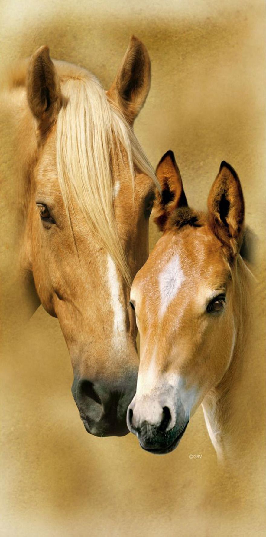 HORSES BEACH TOWEL